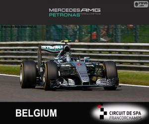 yapboz Nico Rosberg, 2015 Belçika Grand Prix